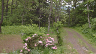 長野県菅平高原 ゆたか山荘 坂上 2026/06/02 07:45