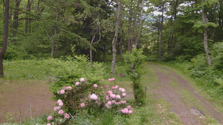 長野県菅平高原 ゆたか山荘 坂上 2026/06/02 08:00