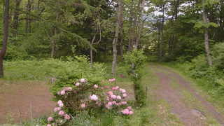 長野県菅平高原 ゆたか山荘 坂上 2026/06/02 08:30