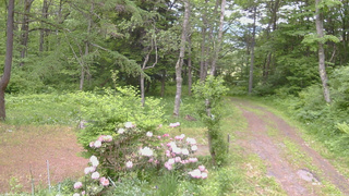 長野県菅平高原 ゆたか山荘 坂上 2026/06/02 09:00