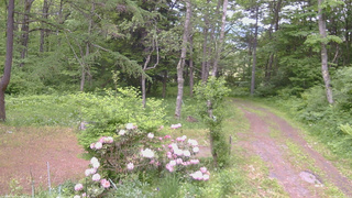 長野県菅平高原 ゆたか山荘 坂上 2026/06/02 09:15