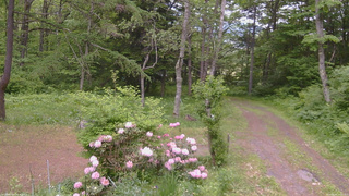 長野県菅平高原 ゆたか山荘 坂上 2026/06/02 09:45