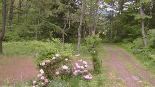 長野県菅平高原 ゆたか山荘 坂上 2026/06/02 10:15