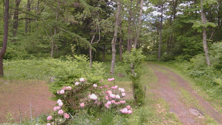 長野県菅平高原 ゆたか山荘 坂上 2026/06/02 10:45