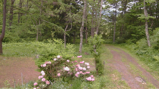 長野県菅平高原 ゆたか山荘 坂上 2026/06/02 11:00