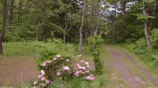 長野県菅平高原 ゆたか山荘 坂上 2026/06/02 11:15