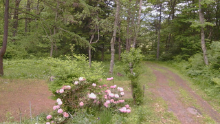 長野県菅平高原 ゆたか山荘 坂上 2026/06/02 12:00