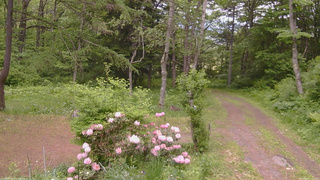 長野県菅平高原 ゆたか山荘 坂上 2026/06/02 12:15