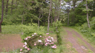 長野県菅平高原 ゆたか山荘 坂上 2026/06/02 12:30