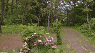 長野県菅平高原 ゆたか山荘 坂上 2026/06/02 12:45