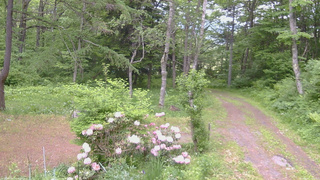 長野県菅平高原 ゆたか山荘 坂上 2026/06/02 13:00