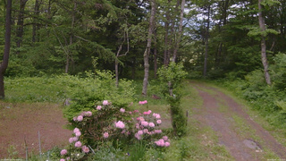 長野県菅平高原 ゆたか山荘 坂上 2026/06/02 14:00