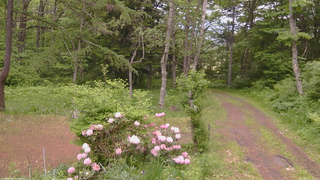 長野県菅平高原 ゆたか山荘 坂上 2026/06/02 14:30