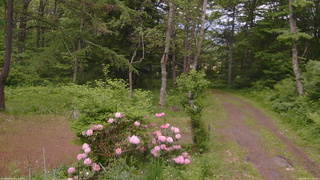 長野県菅平高原 ゆたか山荘 坂上 2026/06/02 14:45