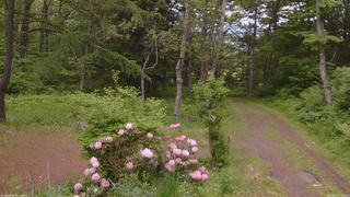 長野県菅平高原 ゆたか山荘 坂上 2026/06/02 15:00