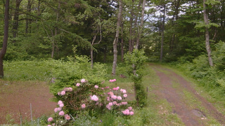 長野県菅平高原 ゆたか山荘 坂上 2026/06/02 15:15