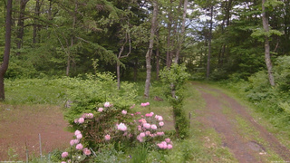 長野県菅平高原 ゆたか山荘 坂上 2026/06/02 15:30