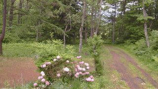 長野県菅平高原 ゆたか山荘 坂上 2026/06/02 15:45