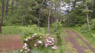 長野県菅平高原 ゆたか山荘 坂上 2026/06/02 17:45