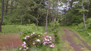 長野県菅平高原 ゆたか山荘 坂上 2026/06/02 18:00