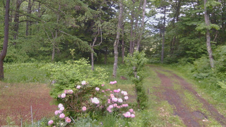 長野県菅平高原 ゆたか山荘 坂上 2026/06/02 18:15