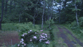 長野県菅平高原 ゆたか山荘 坂上 2026/06/02 19:00