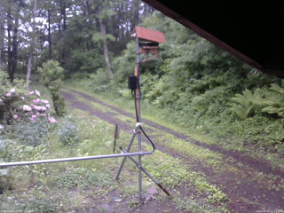 長野県菅平高原 ゆたか山荘 南側 2026/06/03 11:15