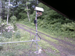 長野県菅平高原 ゆたか山荘 南側 2026/06/03 15:45