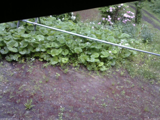 長野県菅平高原 ゆたか山荘 駐車場 2026/06/03 06:00