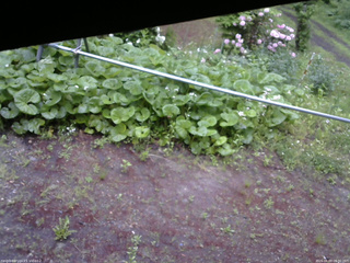 長野県菅平高原 ゆたか山荘 駐車場 2026/06/03 06:30