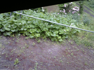 長野県菅平高原 ゆたか山荘 駐車場 2026/06/03 07:45