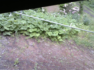 長野県菅平高原 ゆたか山荘 駐車場 2026/06/03 16:00