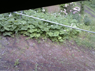 長野県菅平高原 ゆたか山荘 駐車場 2026/06/03 16:15