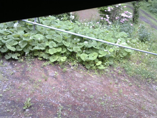 長野県菅平高原 ゆたか山荘 駐車場 2026/06/03 16:30