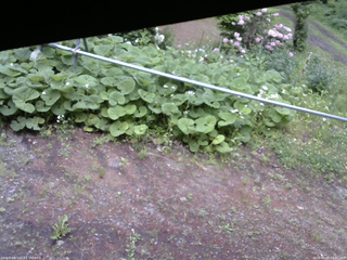 長野県菅平高原 ゆたか山荘 駐車場 2026/06/03 16:45