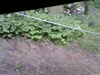 長野県菅平高原 ゆたか山荘 駐車場 2026/06/03 17:45
