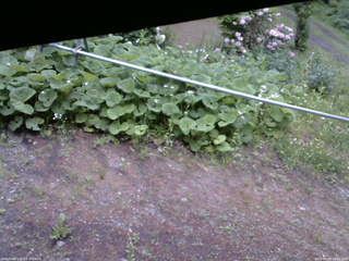 長野県菅平高原 ゆたか山荘 駐車場 2026/06/03 18:00