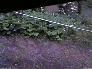 長野県菅平高原 ゆたか山荘 駐車場 2026/06/03 19:00