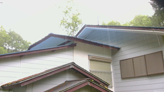 長野県菅平高原 ゆたか山荘 駐車場奥 2026/06/03 06:15