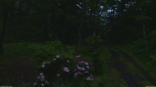 長野県菅平高原 ゆたか山荘 坂上 2026/06/03 05:00