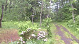 長野県菅平高原 ゆたか山荘 坂上 2026/06/03 06:30