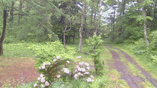 長野県菅平高原 ゆたか山荘 坂上 2026/06/03 08:00