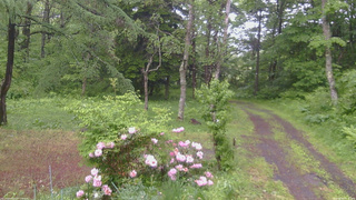 長野県菅平高原 ゆたか山荘 坂上 2026/06/03 08:30