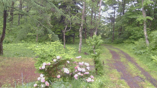 長野県菅平高原 ゆたか山荘 坂上 2026/06/03 08:45