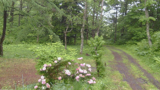 長野県菅平高原 ゆたか山荘 坂上 2026/06/03 09:00