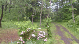 長野県菅平高原 ゆたか山荘 坂上 2026/06/03 09:15