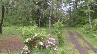 長野県菅平高原 ゆたか山荘 坂上 2026/06/03 09:30