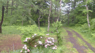 長野県菅平高原 ゆたか山荘 坂上 2026/06/03 09:45