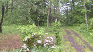 長野県菅平高原 ゆたか山荘 坂上 2026/06/03 10:00