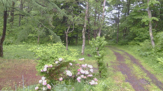 長野県菅平高原 ゆたか山荘 坂上 2026/06/03 10:15